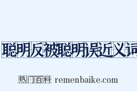 聪明反被聪明误近义词是什么意思的图片